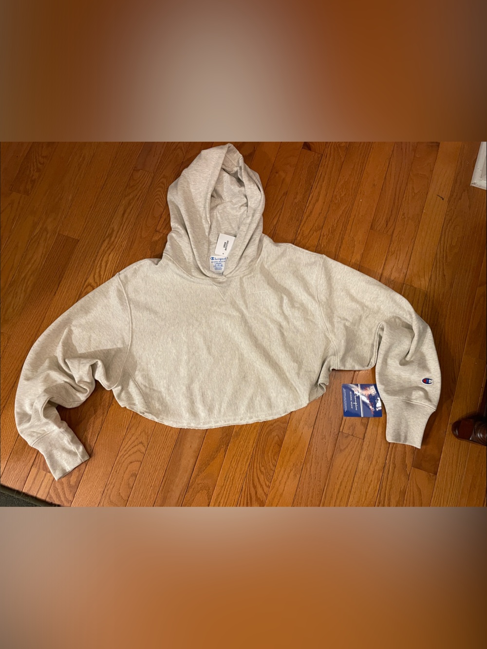 Urban Outfitters Champion oatmeal Cropped Hoodie with Sleeve Logo